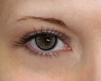 Цветные контактные линзы для карих глаз Adria Elegant